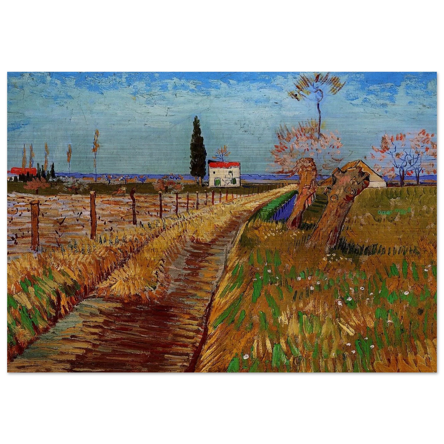 Path Through a Field with Willows - Vincent van Gogh Brushed Aluminum Print - 70x100 cm / 28x40 inches | Vincent van Gogh Aluminum Print | Vincent van Gogh Prints