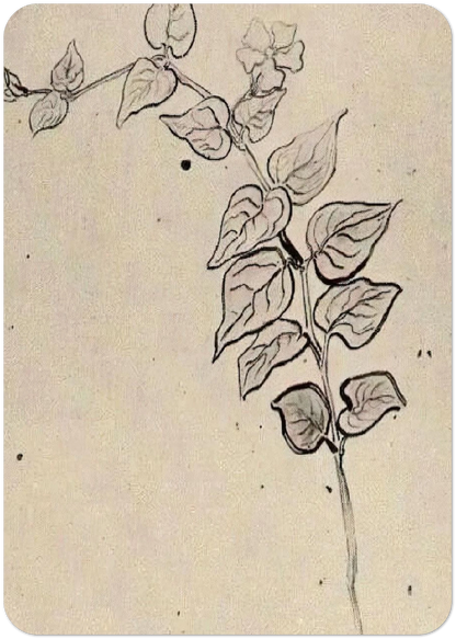Branch with Leaves By Vincent van Gogh Pack of 10 Post Cards | Vincent van Gogh Post Cards | A6 (10.5 x 14.8 cm) - 4.1 x 5.8 inches