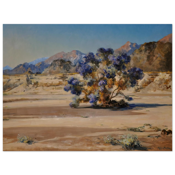 Agnes Lawrence Pelton - Smoketree - Post-Impressionism  75x100 cm / 30x40inches Fine Art Poster