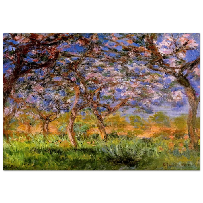 Giverny in Springtime - claude monet Brushed Aluminum Print - 70x100 cm / 28x40 inches | claude monet Aluminum Print | claude monet Prints