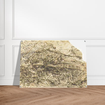 Olive Trees in a Mountain Landscape - Vincent van Gogh Acrylic Print - 70x100 cm / 28x40″ inches | Vincent van Gogh Wall Art | Vincent van Gogh Prints