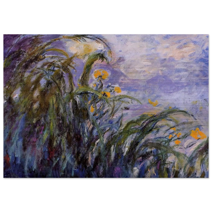 Yellow Irises - claude monet Brushed Aluminum Print - 70x100 cm / 28x40 inches | claude monet Aluminum Print | claude monet Prints