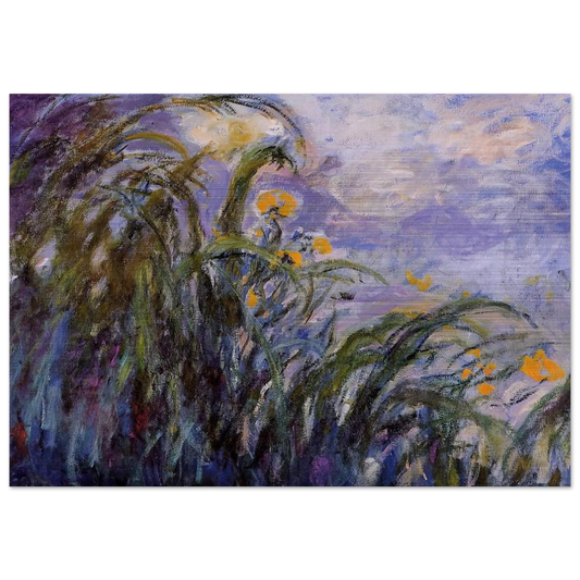 Yellow Irises - claude monet Brushed Aluminum Print - 70x100 cm / 28x40 inches | claude monet Aluminum Print | claude monet Prints
