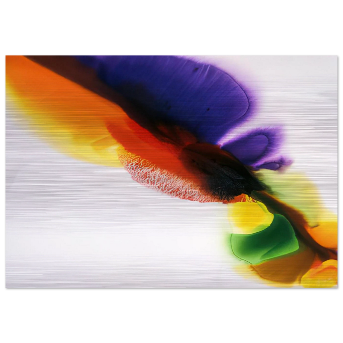 Phenomena Tibetan Flange - Paul Jenkins Brushed Aluminum Print - 70x100 cm / 28x40 inches | Paul Jenkins Aluminum Print | Paul Jenkins Prints