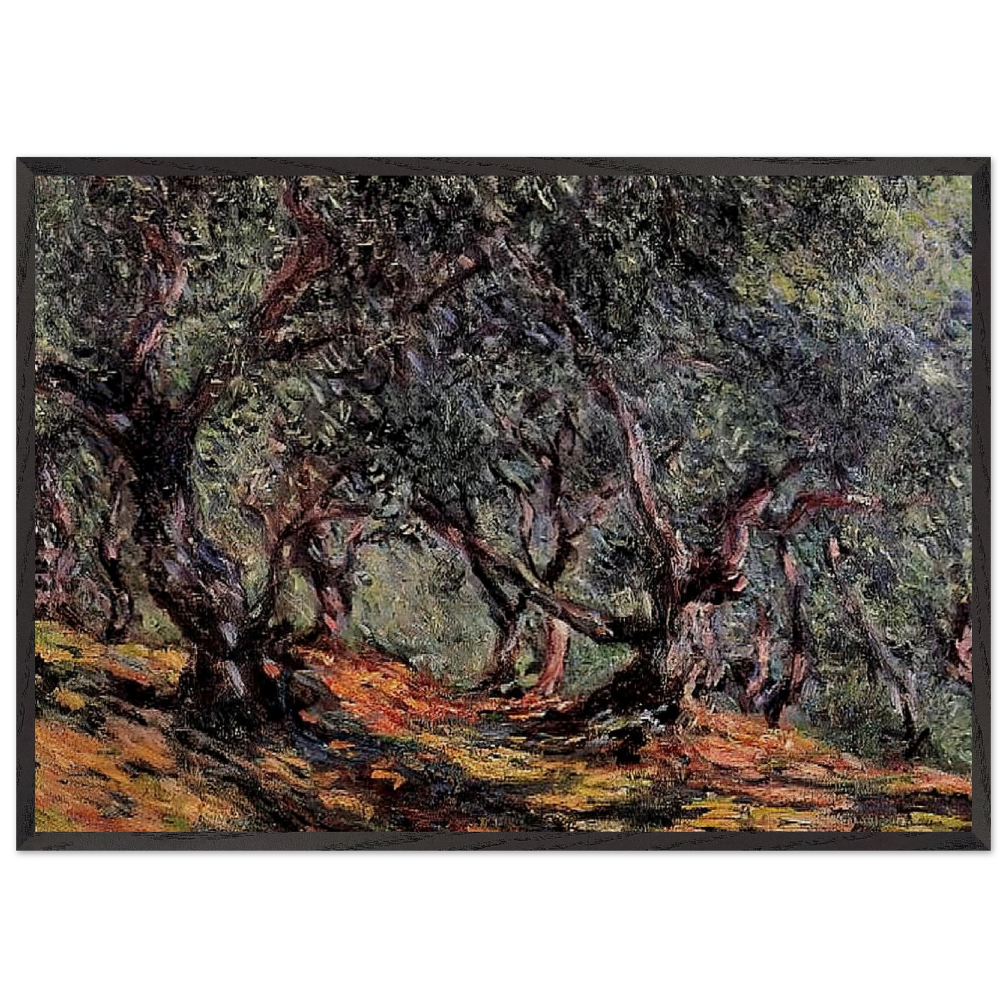 Olive Trees in Bordigher - claude monet 70x100 cm / 28x40 inches Framed Art Print – Black Wooden Frame