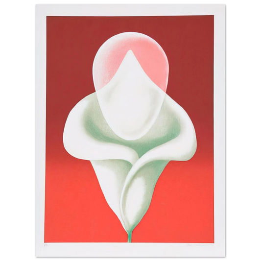 Clarence Holbrook Carter - Abstract Tulip - 1979  75x100 cm / 30x40inches Fine Art Poster