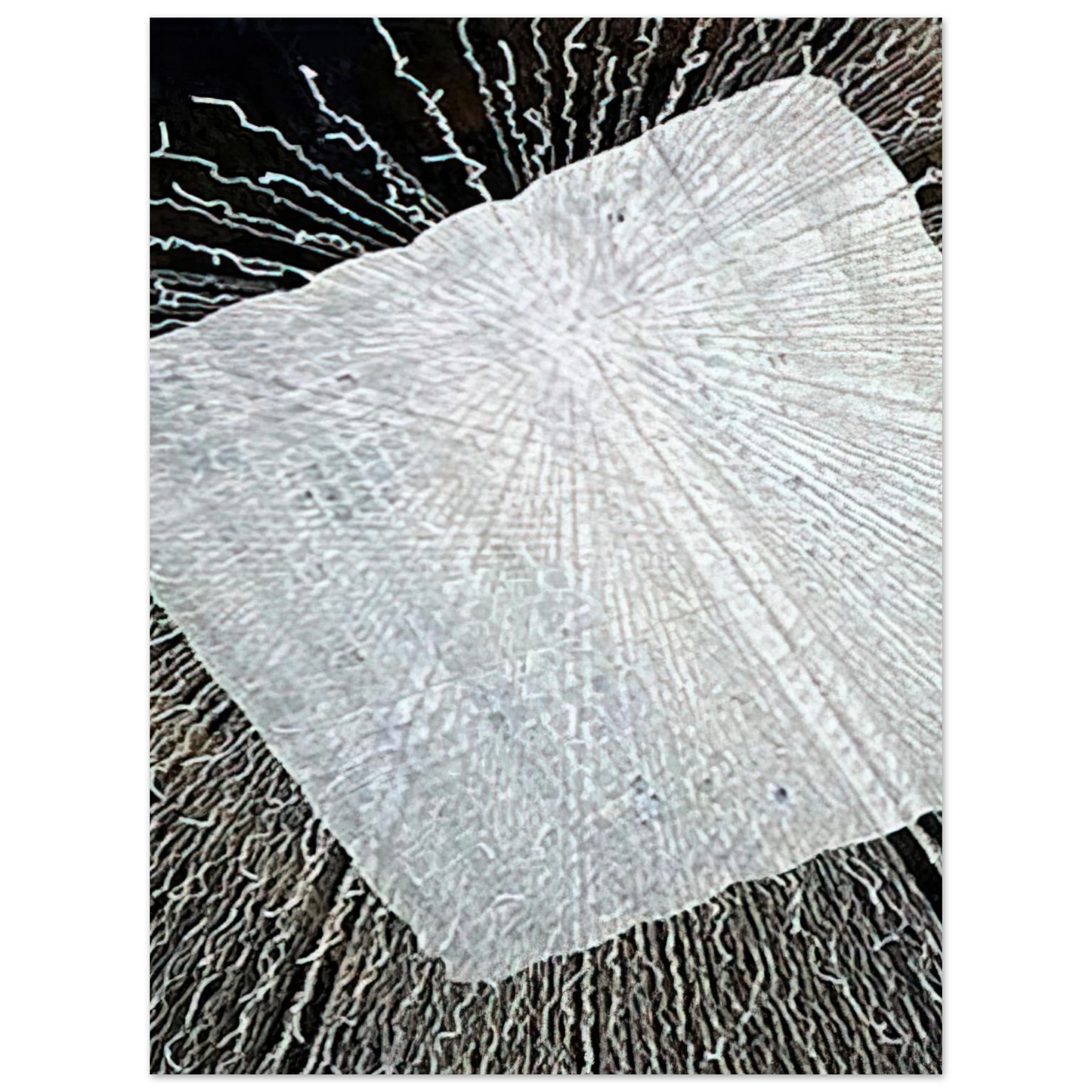Lenore Tawney - CLOUD SERIES V 1978  75x100 cm / 30x40inches Fine Art Poster