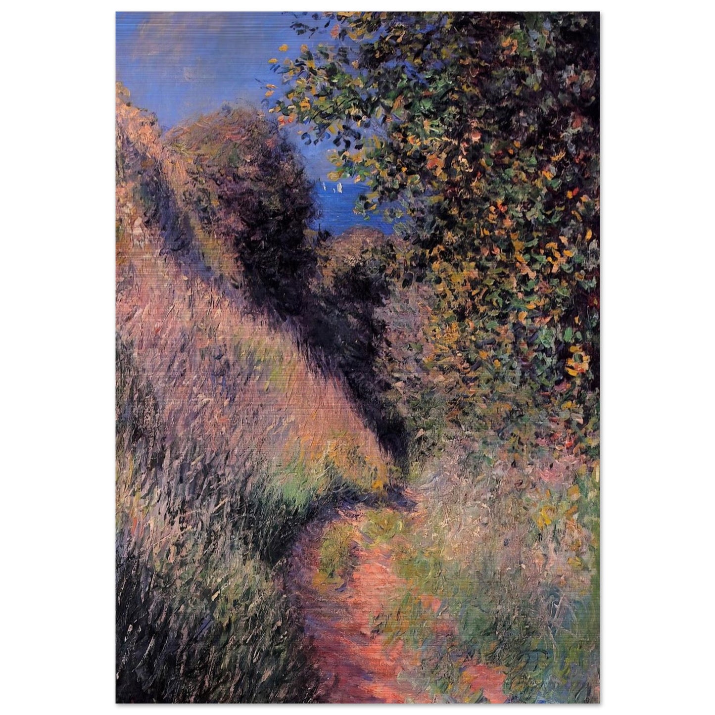 Path at Pourville - claude monet Brushed Aluminum Print - 70x100 cm / 28x40 inches | claude monet Aluminum Print | claude monet Prints