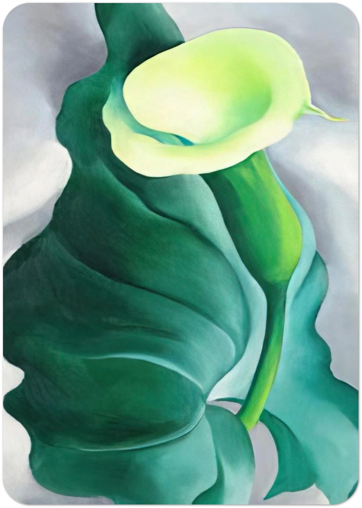 Calla Lily  Lily-Yellow No. 2  By Georgia O'Keeffe Pack of 10 Post Cards | Georgia O'Keeffe Post Cards | A6 (10.5 x 14.8 cm) - 4.1 x 5.8 inches