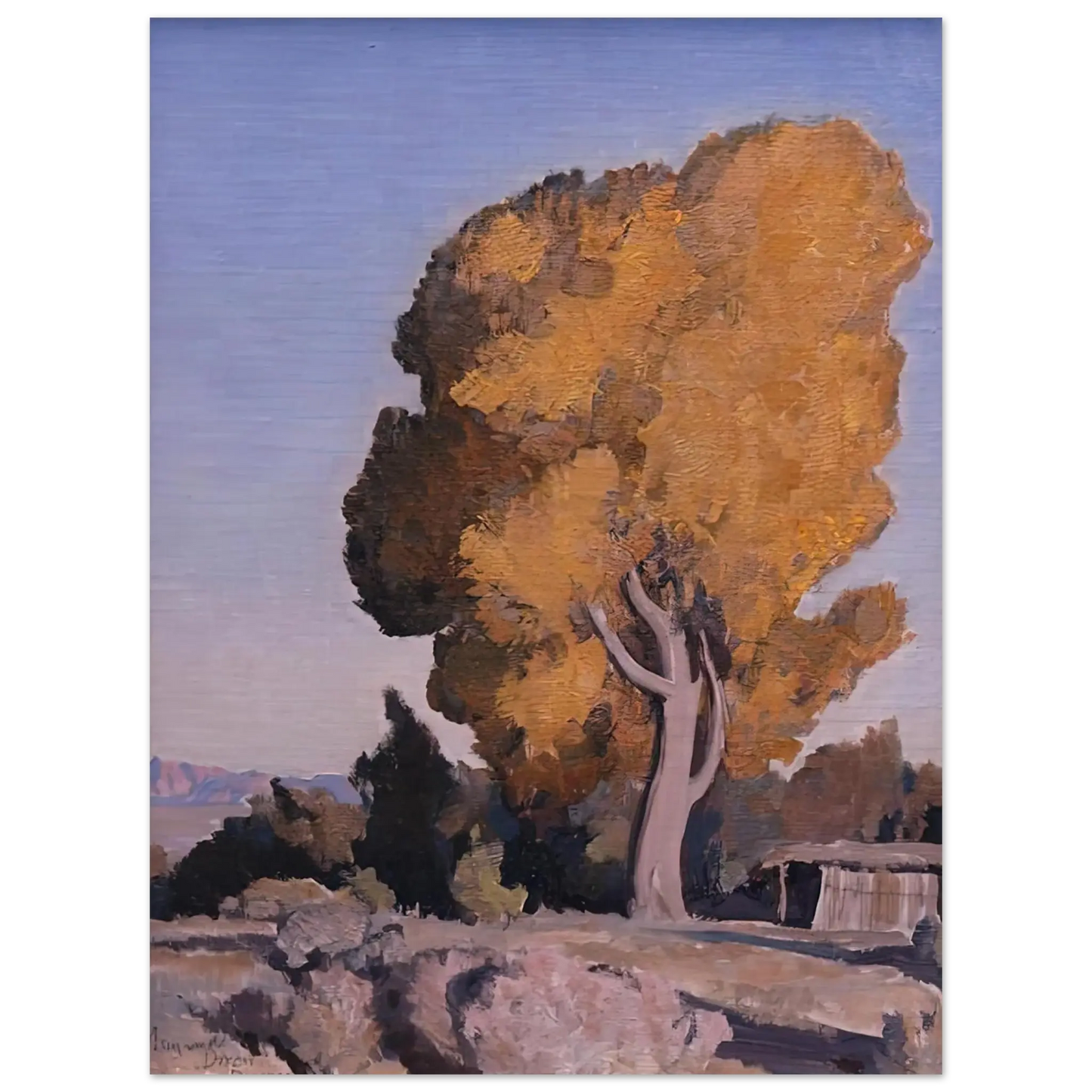 Maynard Dixon - LOW COUNTRY COTTONWOOD 1940 Wall art - 60x80 cm / 24x32 Inches - Fine Art Poster - -