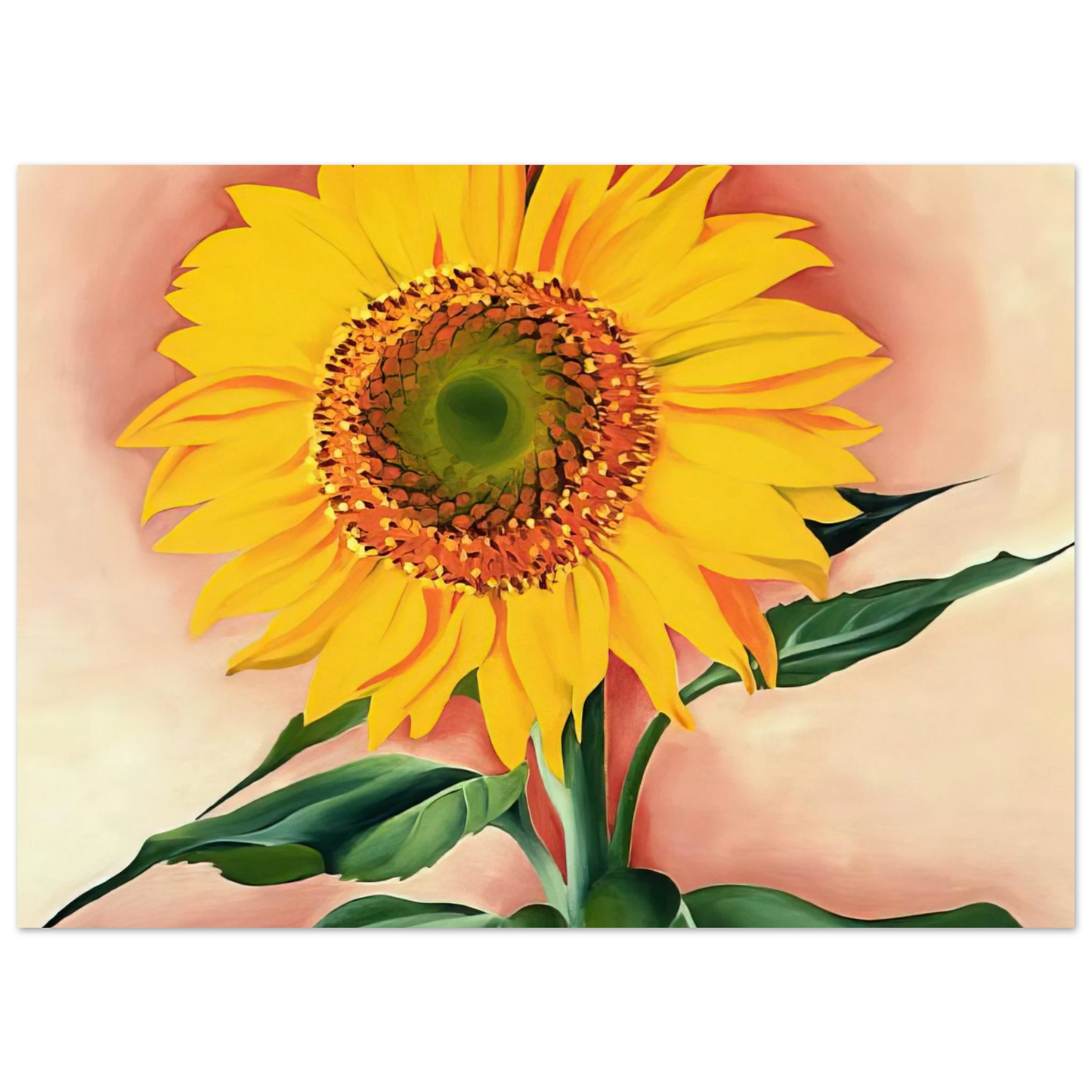 Georgia O'Keeffe - A Sunflower from Maggie Fine Art Poster