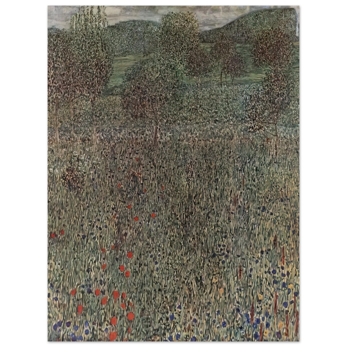 Gustav Klimt - BLOOMING FIELD  75x100 cm / 30x40inches Fine Art Poster
