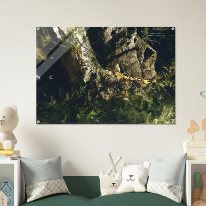 VIRGIN BIRCH 1982 - Andrew Wyeth Acrylic Print - 70x100 cm / 28x40″ inches