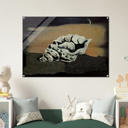 SHELL - Salvador Dali Acrylic Print - 70x100 cm / 28x40″ inches