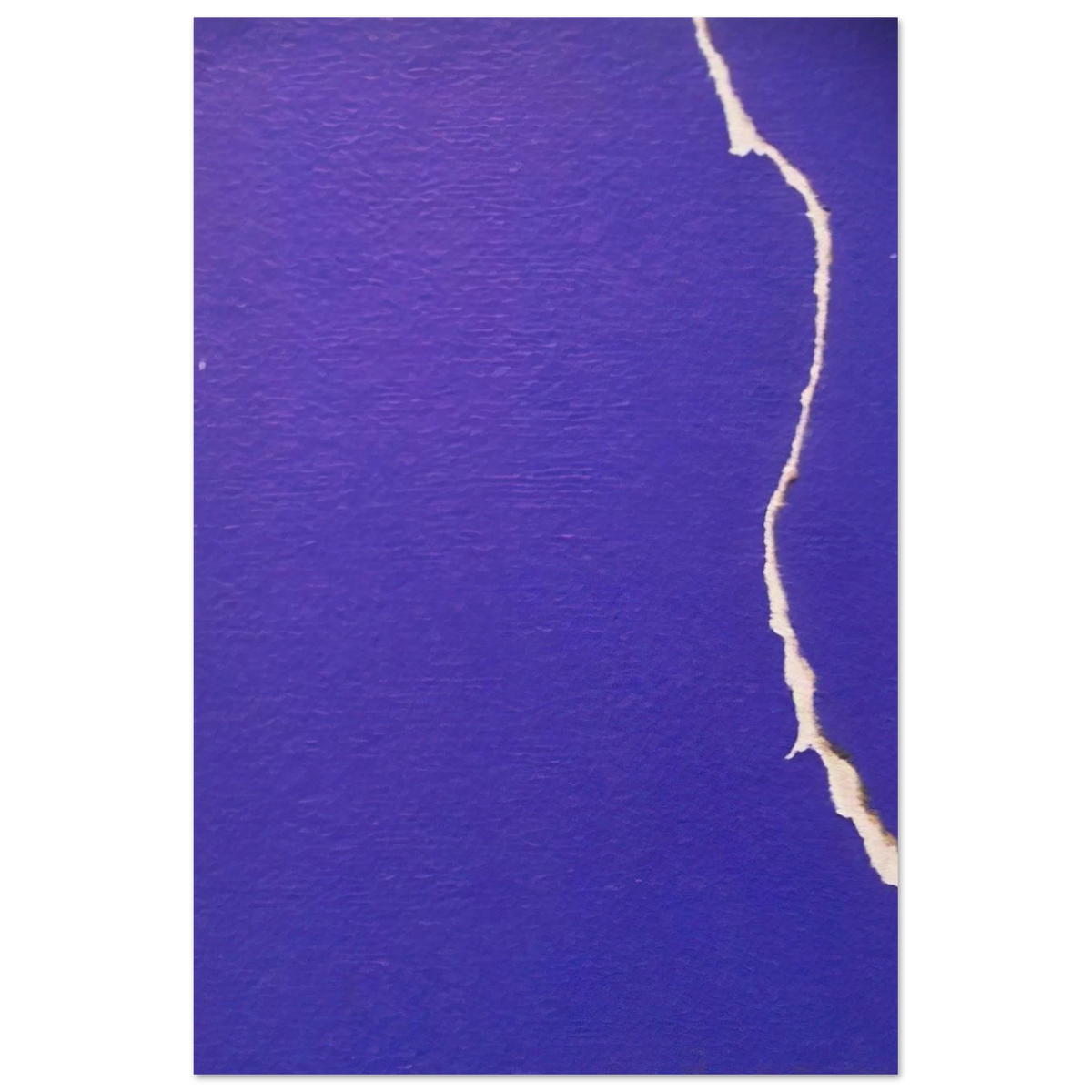 b6ac9372-b24a-4222-b410-dbb7fa24e06b