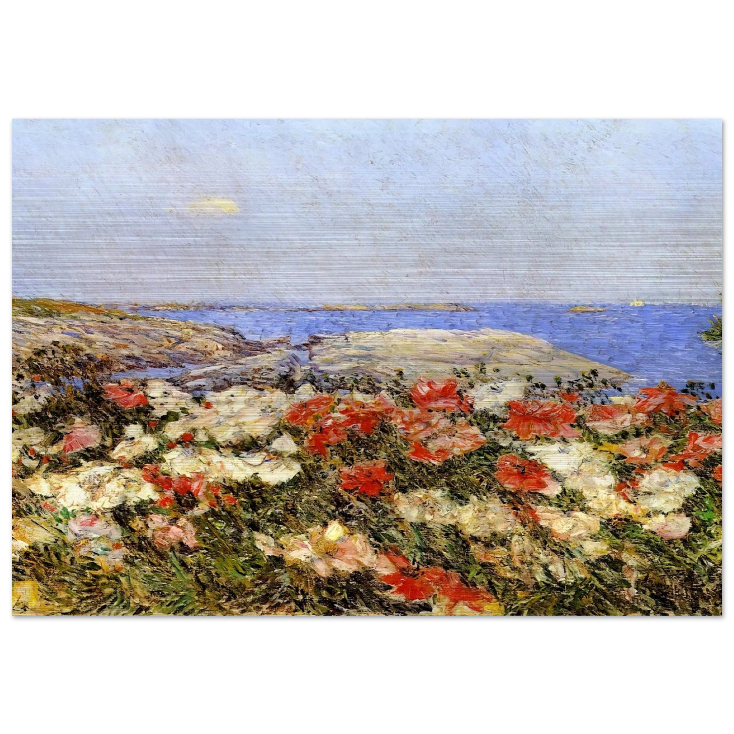 Poppies on the Isles of Shoals - Childe Hassam Brushed Aluminum Print - 70x100 cm / 28x40 inches | Childe Hassam Aluminum Print | Childe Hassam Prints