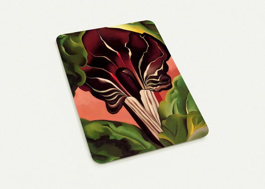 Jack-in-the-Pulpit II By Georgia O'Keeffe Pack of 10 Post Cards | Georgia O'Keeffe Post Cards | A6 (10.5 x 14.8 cm) - 4.1 x 5.8 inches