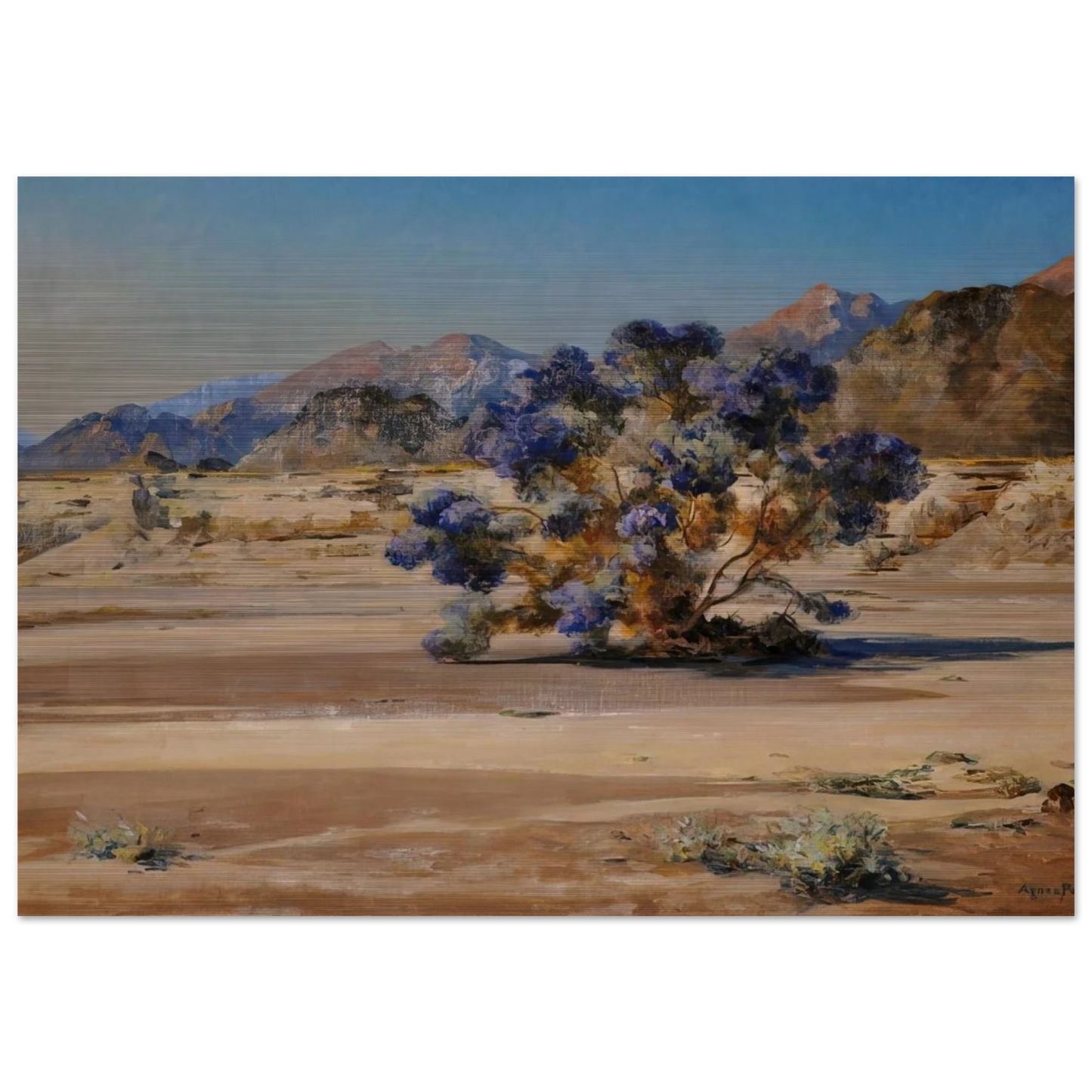 Smoketree - Post-Impressionism - Agnes Lawrence Pelton Brushed Aluminum Print - 70x100 cm / 28x40 inches | Agnes Lawrence Pelton Aluminum Print | Agnes Lawrence Pelton Prints