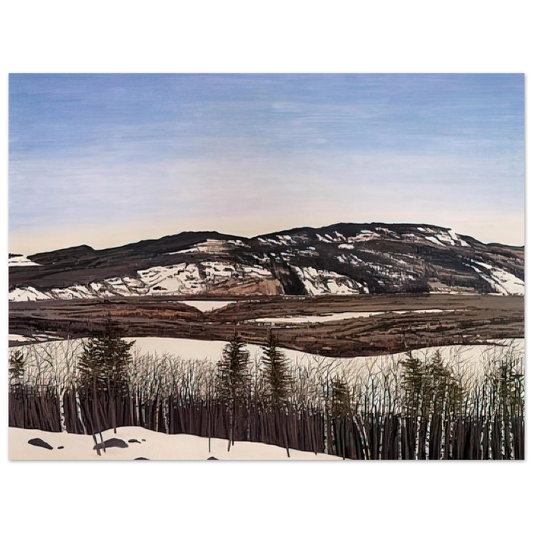 Neil Welliver - Hope to Megunticook - 1992  75x100 cm / 30x40inches Fine Art Poster