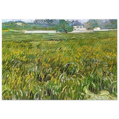 Wheat Field at Auvers with White House - Vincent van Gogh Brushed Aluminum Print - 70x100 cm / 28x40 inches | Vincent van Gogh Aluminum Print | Vincent van Gogh Prints