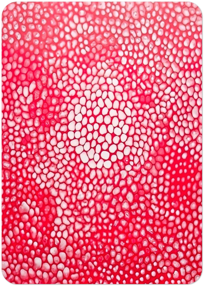 ba307e71-3ea2-4fa7-b6c5-68fd25b53338