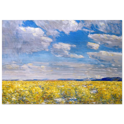 Afternoon Sky, Harney Desert - Childe Hassam Brushed Aluminum Print - 70x100 cm / 28x40 inches | Childe Hassam Aluminum Print | Childe Hassam Prints