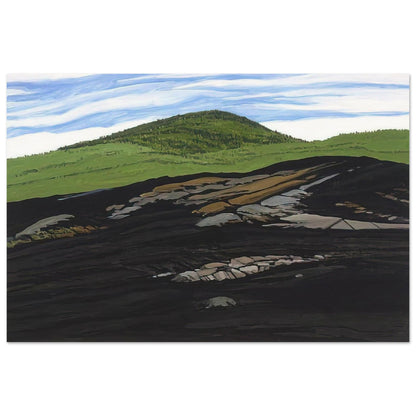 Blueberry Burn Morey's Hill - 1997 - Neil Welliver Art Prints - 100x150 cm / 40x60″ inches | Neil Welliver Poster | Neil Welliver Prints