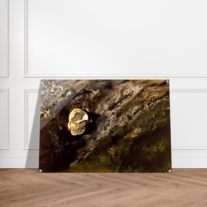 INLAND SHELL - Andrew Wyeth Acrylic Print - 70x100 cm / 28x40″ inches | Andrew Wyeth Wall Art | Andrew Wyeth Prints