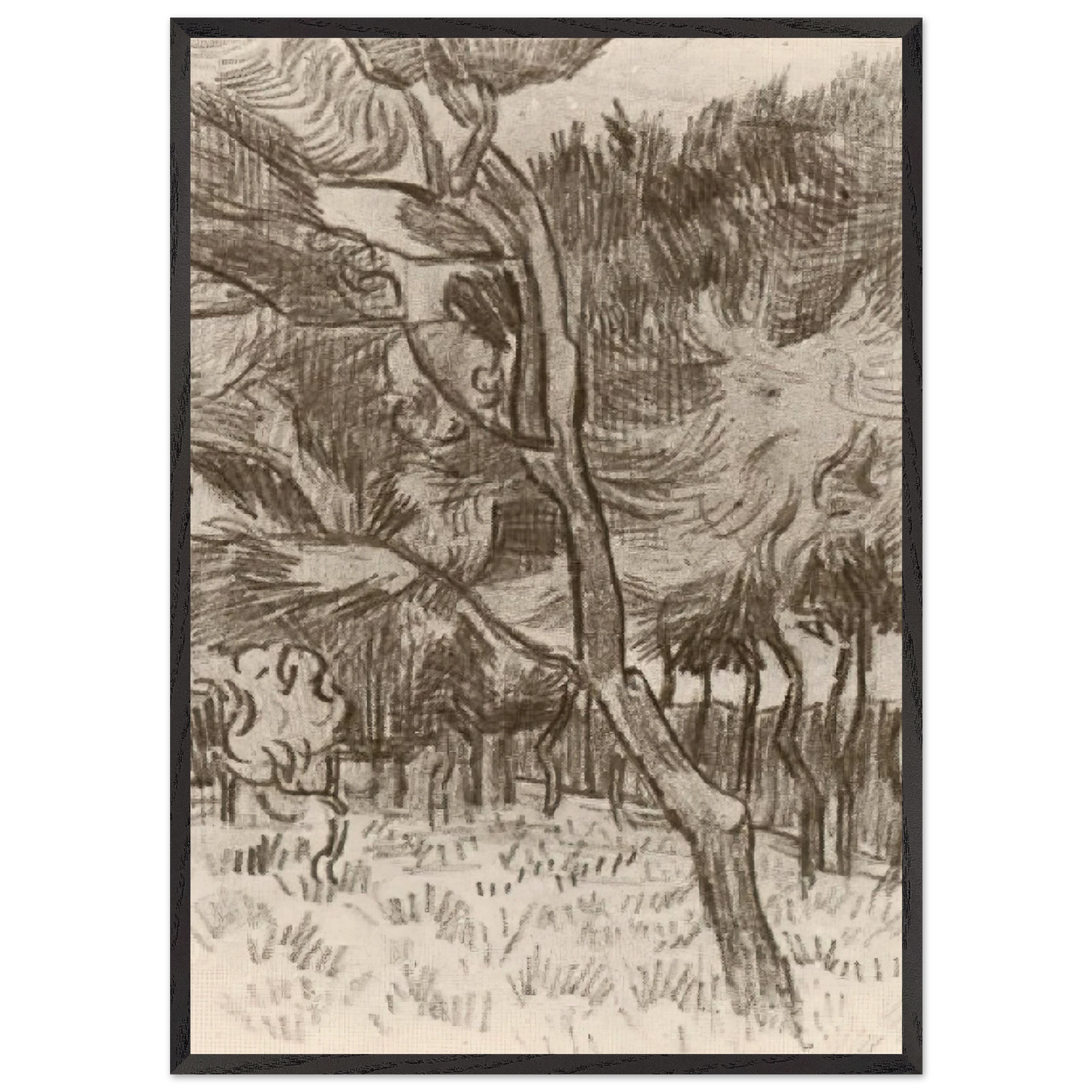 Pine Trees in the Garden of the Asylum - Vincent van Gogh 70x100 cm / 28x40 inches Framed Art Print – Black Wooden Frame