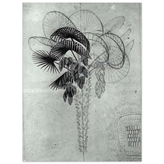 MC Escher - PALM TREE SKETCH Wall Art - 21x29.7 cm / 8x12" - Fine Art Poster - -