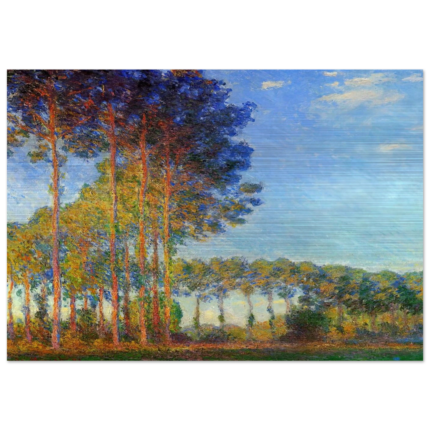 Poplars on the Banks of the River Epte, Seen from the Marsh - claude monet Brushed Aluminum Print - 70x100 cm / 28x40 inches | claude monet Aluminum Print | claude monet Prints