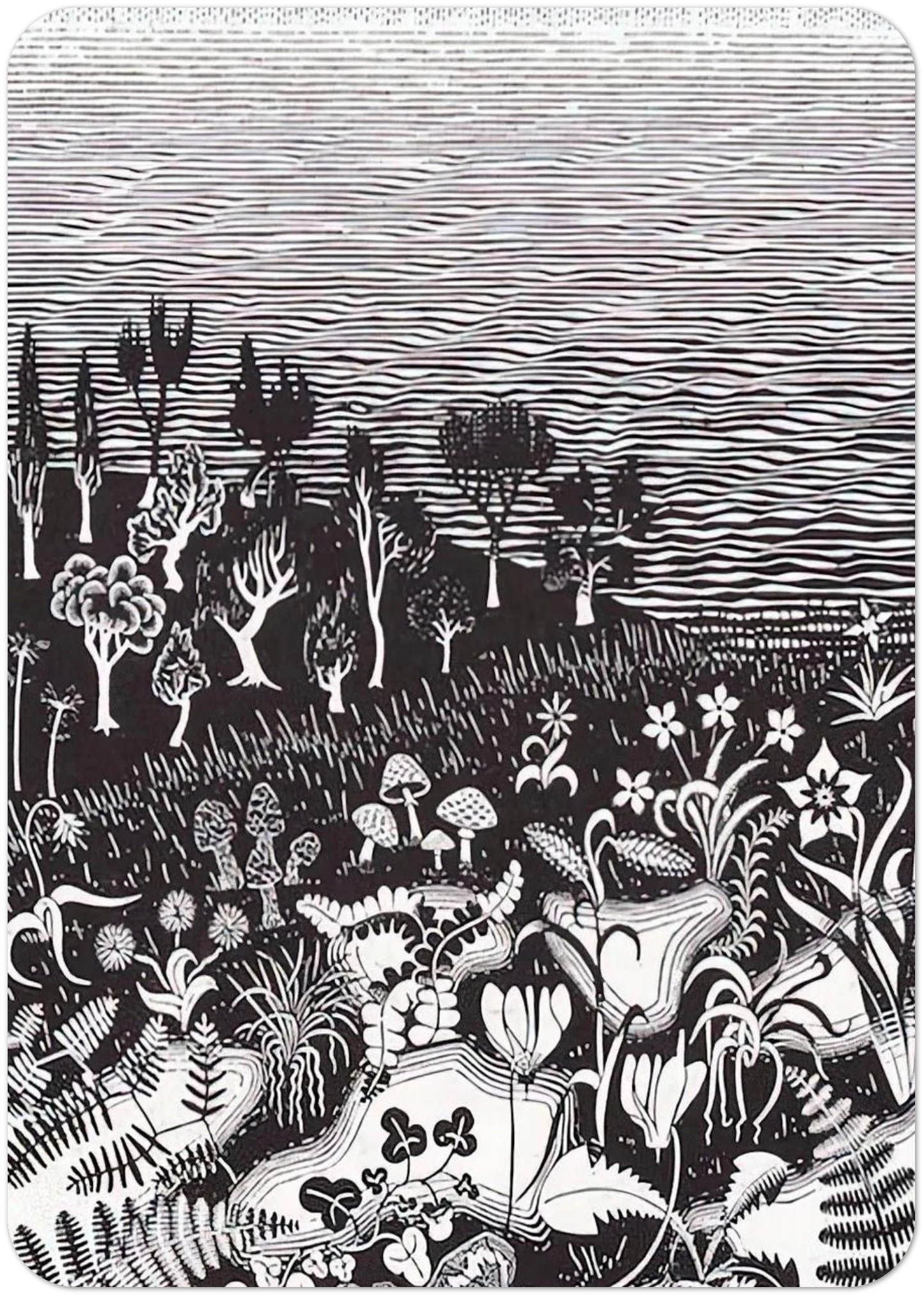 c84776a2-45a4-4a2a-b557-49806e0e6449