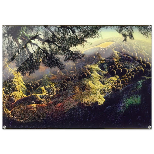 Paradise - Eyvind Earle Acrylic Print - 70x100 cm / 28x40″ inches | Eyvind Earle Wall Art | Eyvind Earle Prints