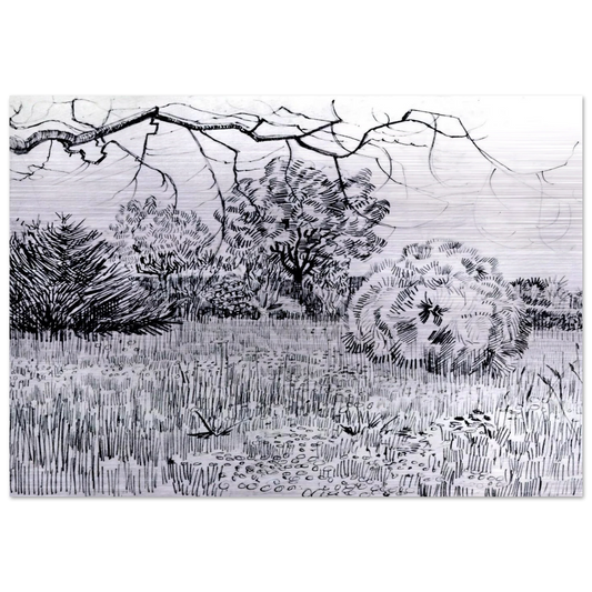 Park at Arles - Vincent van Gogh Brushed Aluminum Print - 70x100 cm / 28x40 inches | Vincent van Gogh Aluminum Print | Vincent van Gogh Prints