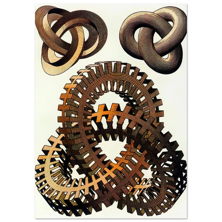 MC Escher - KNOTS COLOUR Wall Art - 30x40 cm / 12x16 inches - Premium Wooden Framed Poster With Fine Art Paper-canvas - White frame