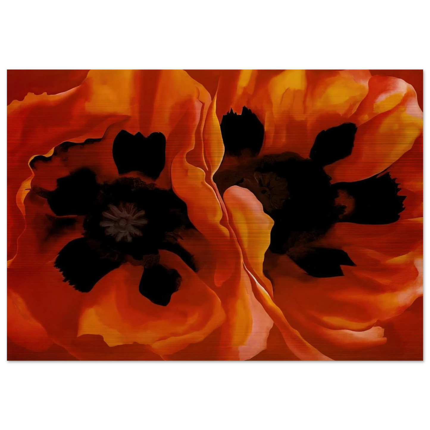 Oriental Poppies - Georgia O'Keeffe Brushed Aluminum Print - 70x100 cm / 28x40 inches | Georgia O'Keeffe Aluminum Print | Georgia O'Keeffe Prints