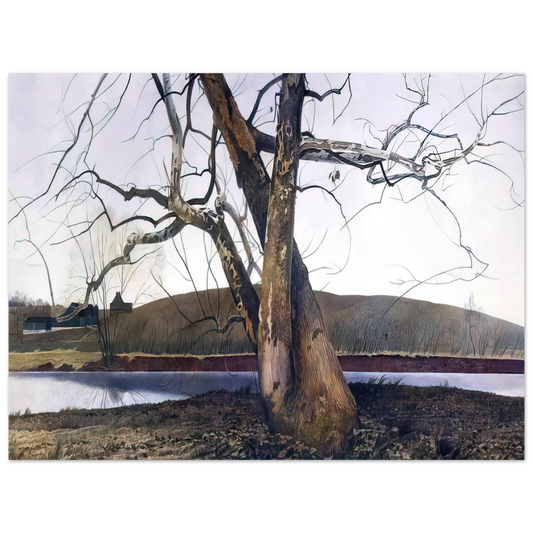 Andrew Wyeth - DIL HUEY FARM Wall Art - 21x29.7 cm / 8x12" - Fine Art Poster-canvas - -