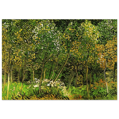 The Grove - Vincent van Gogh Brushed Aluminum Print - 70x100 cm / 28x40 inches | Vincent van Gogh Aluminum Print | Vincent van Gogh Prints