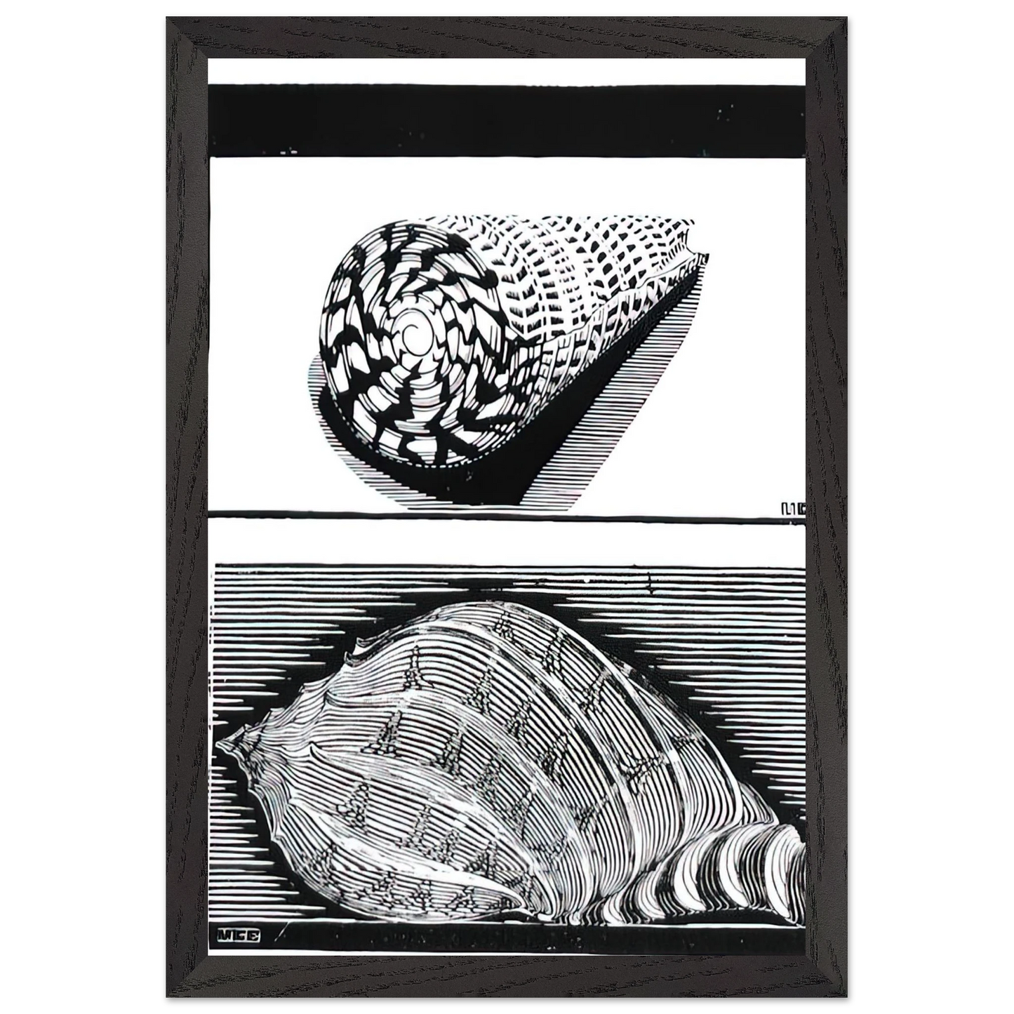 MC Escher - SEA SHELLS Wall Art - 60x80 cm / 24x32 inches - Premium Wooden Framed Poster With Fine Art Paper - Black frame