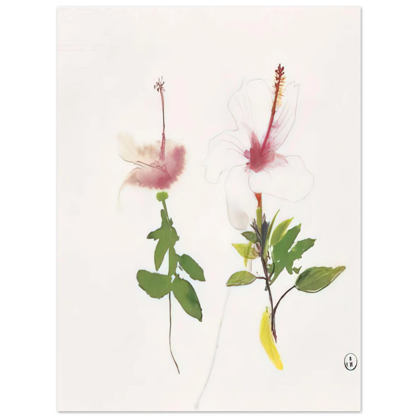 Brett Whiteley - Hibiscus - 1987  75x100 cm / 30x40inches Fine Art Poster