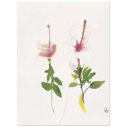 Brett Whiteley - Hibiscus - 1987  75x100 cm / 30x40inches Fine Art Poster