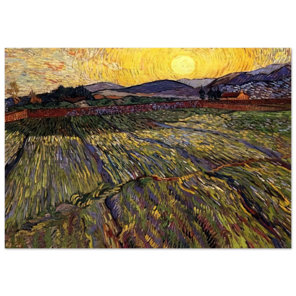 Wheat Field with Rising Sun - Vincent van Gogh Brushed Aluminum Print - 70x100 cm / 28x40 inches | Vincent van Gogh Aluminum Print | Vincent van Gogh Prints