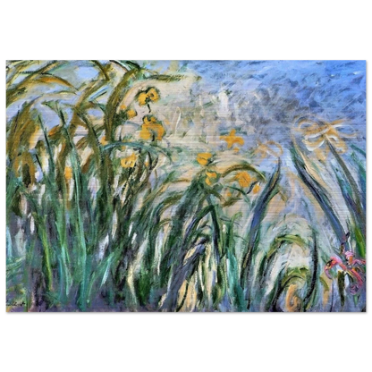 Yellow Irises and Malva - claude monet Brushed Aluminum Print - 70x100 cm / 28x40 inches | claude monet Aluminum Print | claude monet Prints