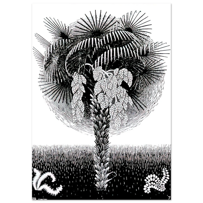 MC Escher - PALM TREE Wall Art - 30x40 cm / 12x16 inches - Premium Wooden Framed Poster With Fine Art Paper - White frame