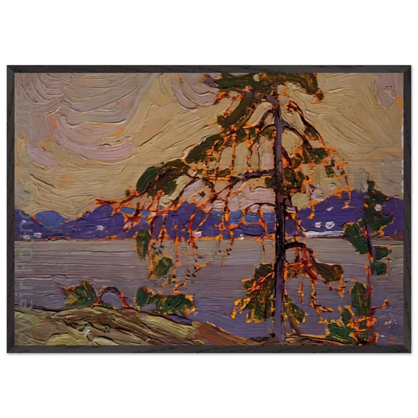 SKETCH FOR THE JACK PINE 1916 - Tom Thomson 70x100 cm / 28x40 inches Framed Art Print – Black Wooden Frame