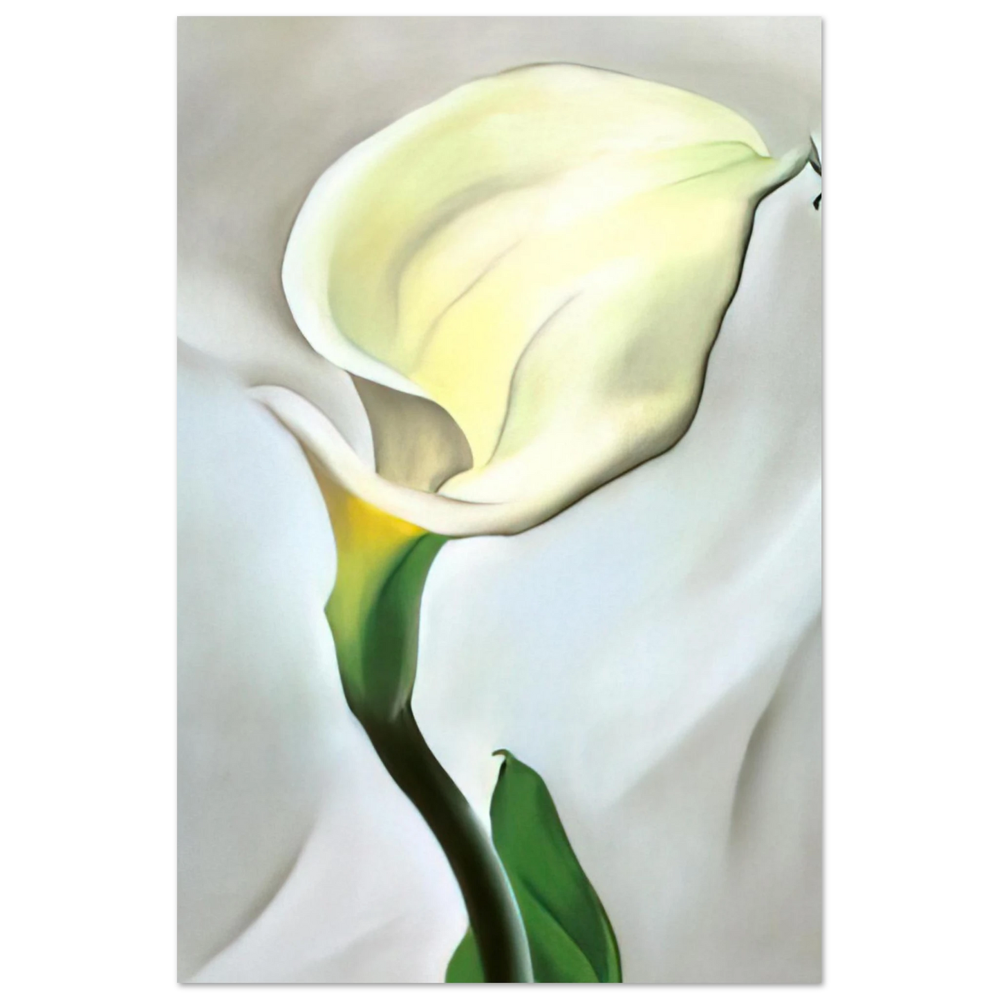 Georgia O'Keeffe - Calla Lily Turned Away Fine Art Poster