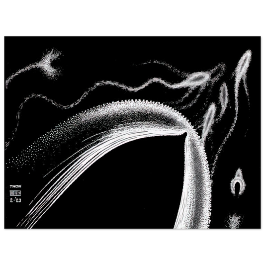 MC Escher - DOLPHINS Wall Art - 21x29.7 cm / 8x12" - Fine Art Poster - -