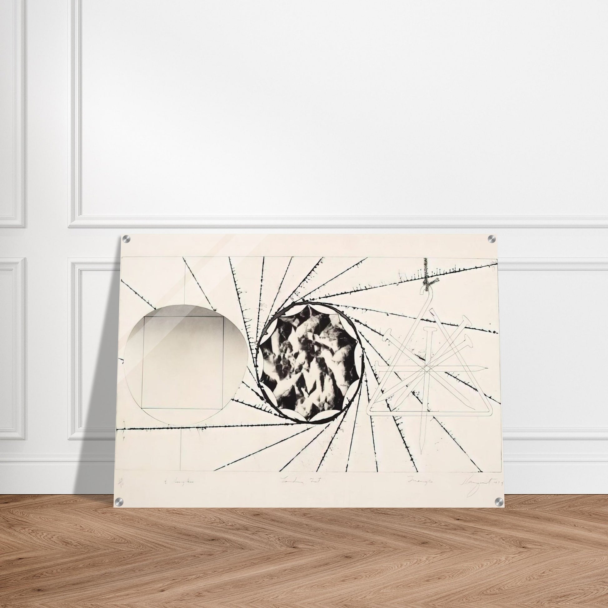 Sunglasses - Landing Net - Triangle - James Rosenquist Acrylic Print - 70x100 cm / 28x40″ inches