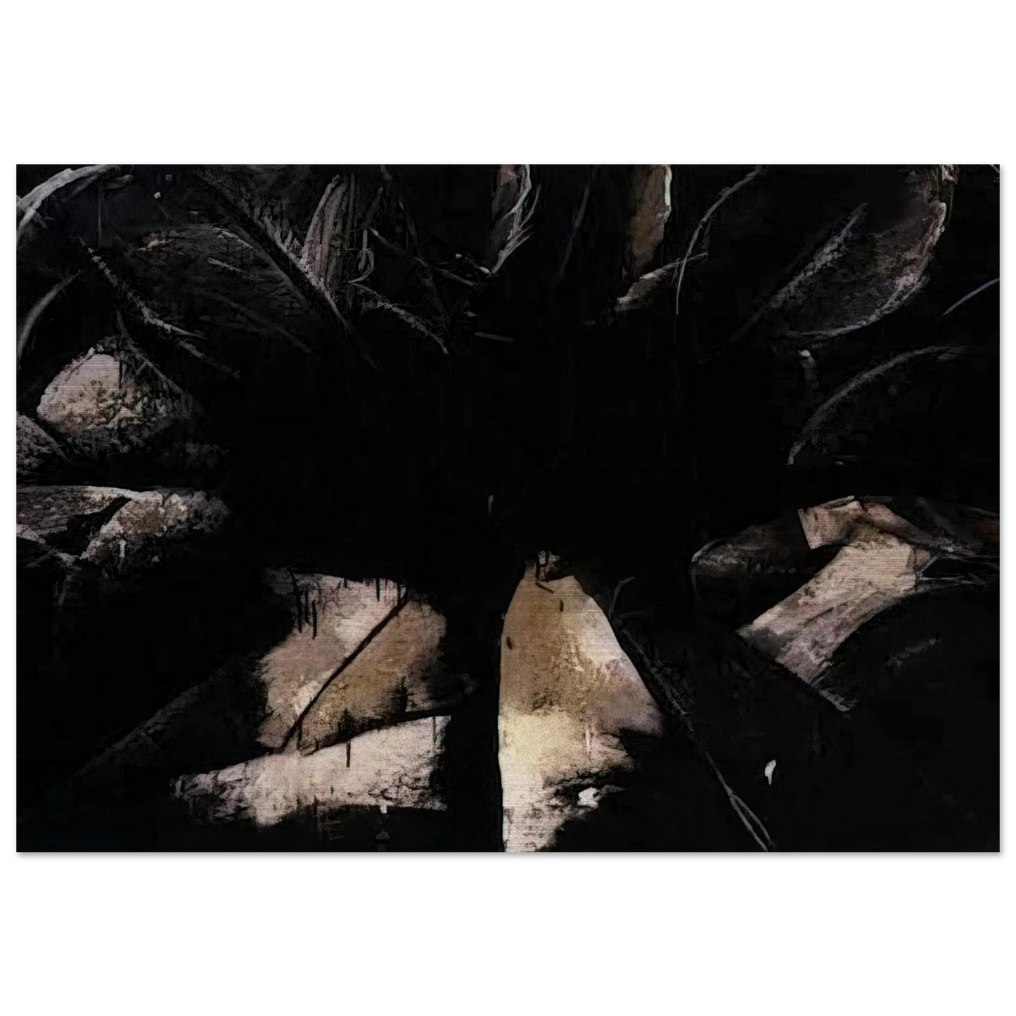 Jay DeFeo/BIG/Cabbage Rose - Jay DeFeo Brushed Aluminum Print - 70x100 cm / 28x40 inches | Jay DeFeo Aluminum Print | Jay DeFeo Prints