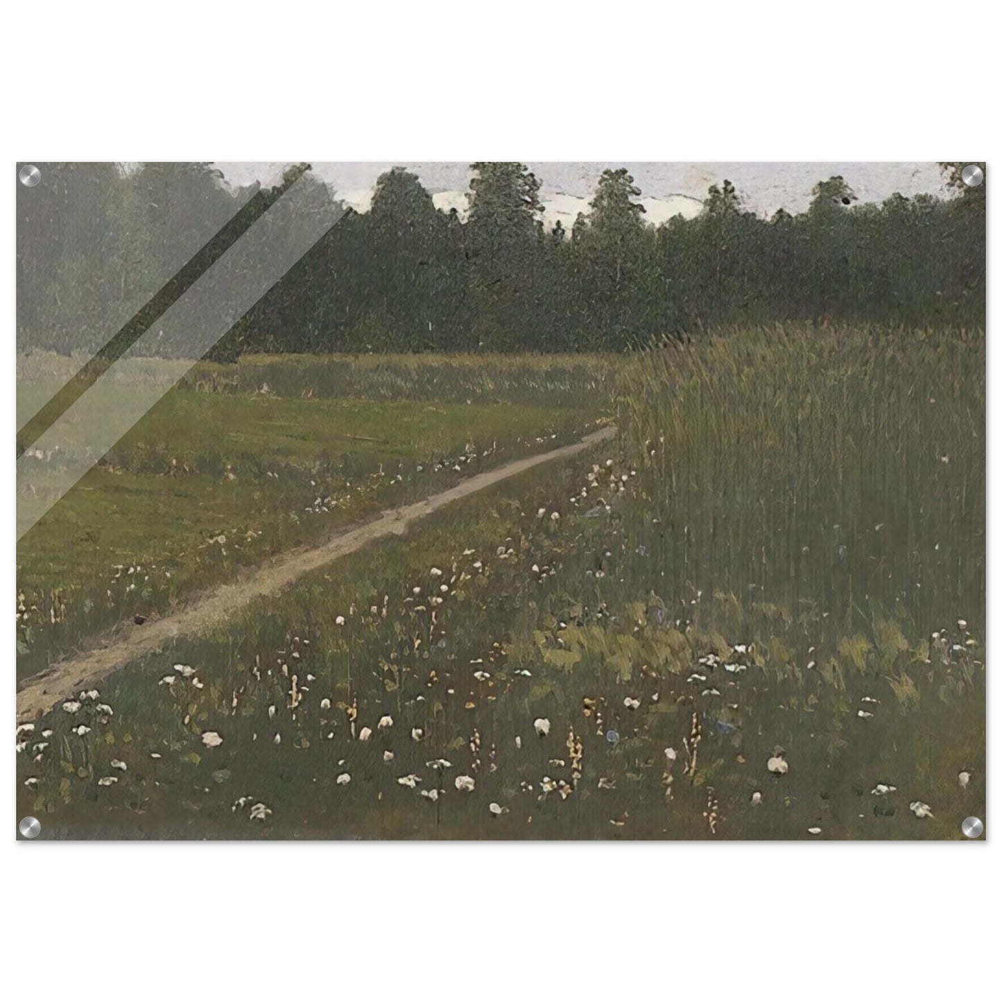 Forest Glade - Arkhyp Kuindzhi Acrylic Print - 70x100 cm / 28x40″ inches